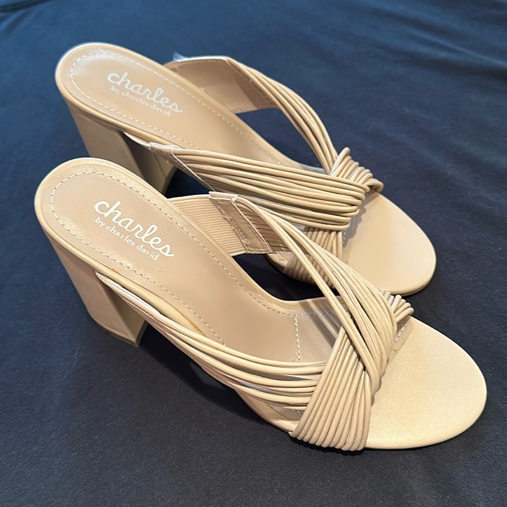 Charles by Charles David Shoes Razzle in Nude New